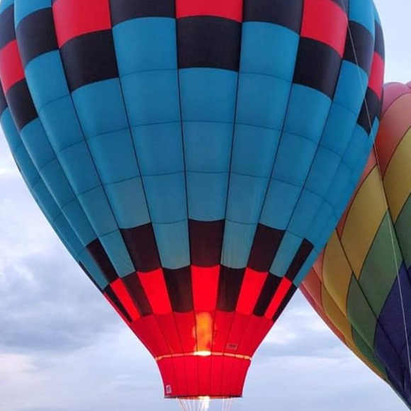 Meet your Posher, Gwendolyn - Picture 1 of 1